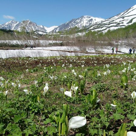 Anri Villa Hakuba Luaran gambar